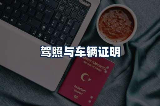 车辆证明展示